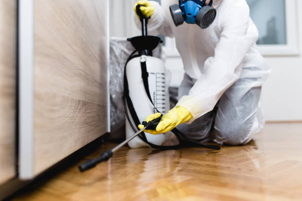 Best Best Pest Control Companies  in Taylors, SC