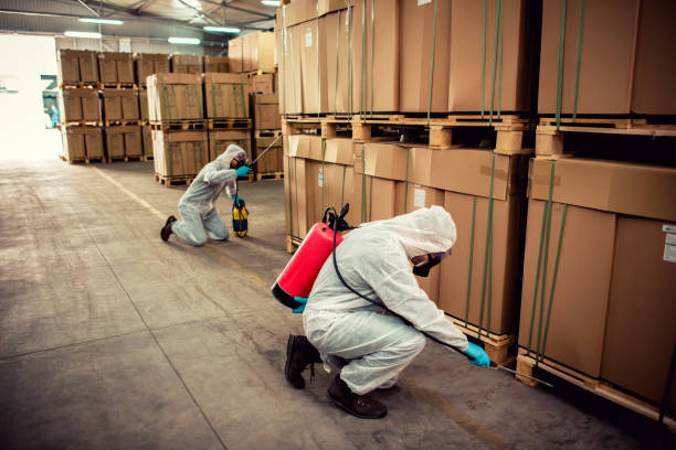 Best Wasp Removal Services  in Taylors, SC