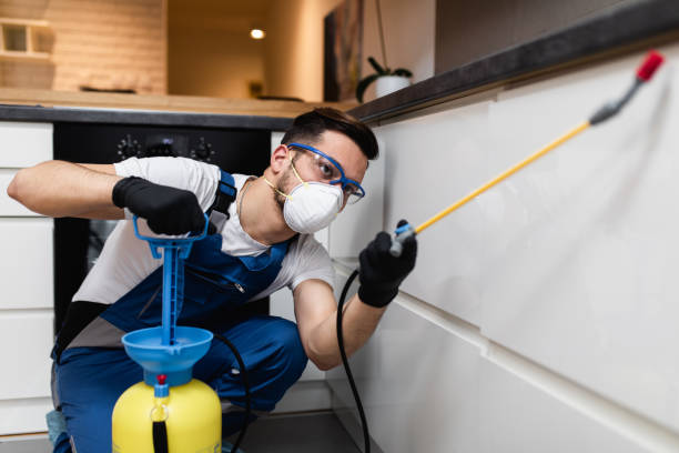 Best Best Pest Control Companies  in Taylors, SC