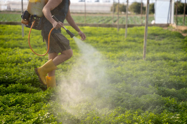 Pest Prevention Services in Taylors, SC