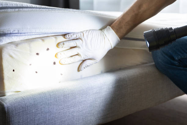Best Wildlife Control Services  in Taylors, SC