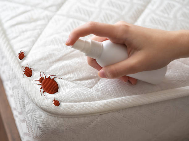 Pest Control Cost in Taylors, SC