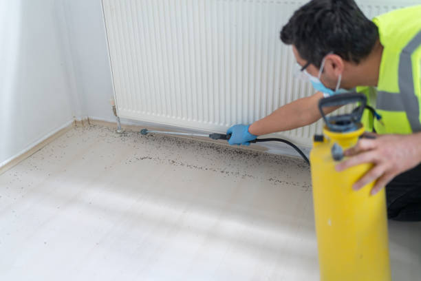 Best Pest Inspection Near Me  in Taylors, SC