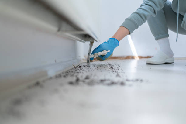 Best Best Pest Control Companies  in Taylors, SC